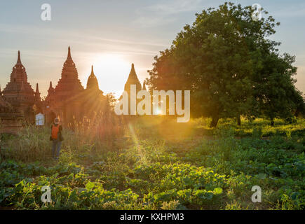 Lumière sacrée et pagodes au coucher du soleil, Bagan, Myanmar Banque D'Images