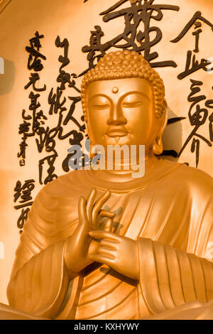 Statue de Bouddha en or à la paix mondiale pagode, Pokhara, Népal Banque D'Images