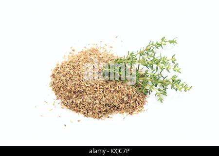 Thym séché et frais sur fond blanc Banque D'Images