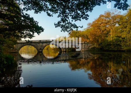 Clumber Park dans le Nottinghamshire Banque D'Images