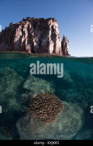 Isla Espiritu Santo, La Paz, Baja California Sur, Mexique Banque D'Images