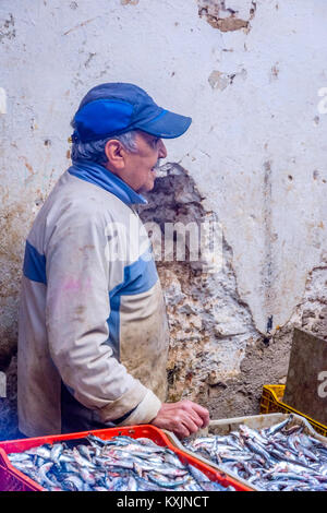 Fes, MAROC - 10 DÉCEMBRE : vente de poisson frais à Fez medina, vieille ville. Décembre 2016 Banque D'Images