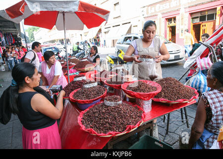 OAXACA, MEXIQUE - 8 mars 2012 : Les femmes vendant des sauterelles épicé séchées (chapulines) sur un marché de rue locaux à Oaxaca, Mexique Banque D'Images