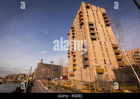 La régénération en aboyant le long de la rivière Roding, Londres UK 2016 Banque D'Images