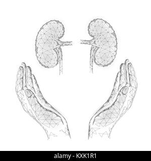 La Journée mondiale du rein faible carte de vœux conception poly modèle. Affiche promotionnelle de la sensibilisation à la santé de l'organe interne banney point polygonal dans les reins ligne soins mains holding vector illustration Illustration de Vecteur