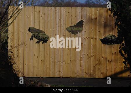 Rénové à masquer d'oiseaux RSPB Bowling Green Marsh, Topsham, Exe Estuaire, Devon, UK. Janvier, 2018. Banque D'Images