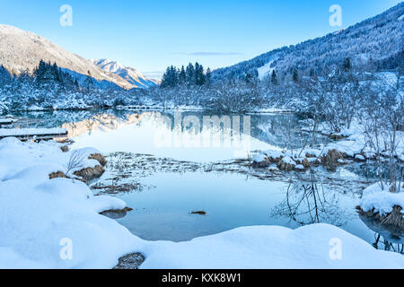 Eflection dans l'étang de l'étang de la rivière Sava Zelenci (printemps) Banque D'Images