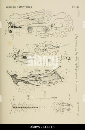 Le livre français 'Atlas of comparative Anatomy of Invertébrés' fournit des illustrations et des descriptions détaillées de l'anatomie des invertébrés, couvrant diverses espèces pour l'étude scientifique et l'éducation. Banque D'Images