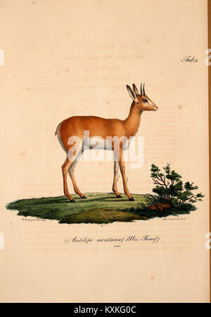 L'atlas fournit des cartes et des illustrations d'une exploration de l'Afrique du Nord au XIXe siècle, documentant des observations géographiques et culturelles. Banque D'Images