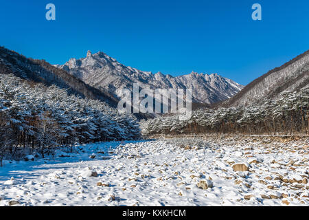 Le parc national de Seoraksan en hiver, la Corée du Sud. Banque D'Images