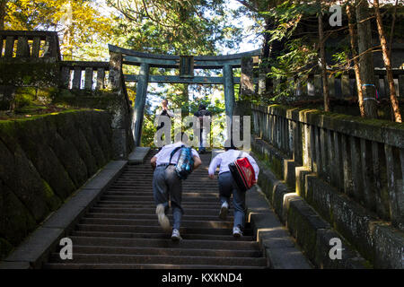 Tosho-gu, un sanctuaire Shinto dédié à Tokugawa Ieyasu, le fondateur du shogunat Tokugawa, situé à Nikko, Japon. Un site du patrimoine mondial depuis le 19 Banque D'Images