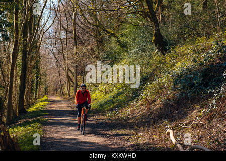 Cycliste sur piste facile après ancienne voie ferrée près de Broughton in Furness, Cumbria Banque D'Images