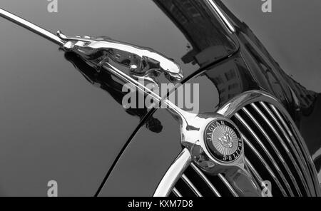 Jaguar Mk 2 Voiture de sport classique et emblème Jaguar Chrome grille de radiateur Banque D'Images
