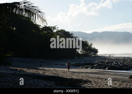 Homme avec une planche de surf sur une plage bordée de palmiers à l'aube sur la Péninsule de Nicoya Banque D'Images