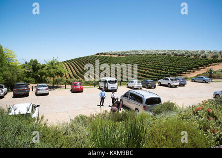 Stellenbosch Western Cape Afrique du Sud. Décembre 2017. Le Tokara vignoble et d'un parking. Banque D'Images