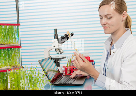 Scientifique avec plante verte dans un laboratoire moderne. femme étude de modification génétique des plantes OGM dans le laboratoire Banque D'Images