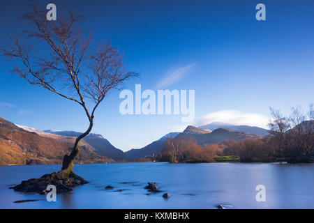 Une longue journée d'exposition photo de Lone Tree sur le lac Padarn, Caernarfon, Pays de Galles, Royaume-Uni Banque D'Images