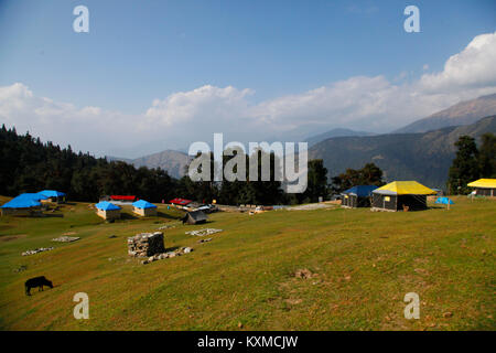 Chopta: Suisse de l'Inde à Uttarakhand, Himalaya, Inde (photo Copyright © Saji Maramon) Banque D'Images