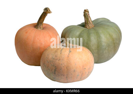 Trois citrouilles coloré isolated on white Banque D'Images