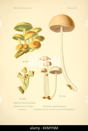 Atlas des champignons comestibles et vénéneux (planche 45) (6358023637) Banque D'Images