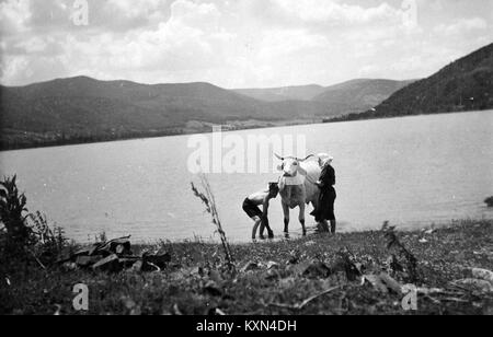 Torerolier se produisant dans la région de Dunakanyar en Hongrie, représentant un événement traditionnel hongrois de tauromachie avec des spectateurs et des caractéristiques d'arène. Banque D'Images