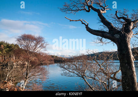 À l'Est le long du Nord Le loch Sunart à un enneigés des Ben Resipol en arrière-plan, l'urbanisme et de l'Ecosse, Lochaber., 28 décembre 2017. Banque D'Images