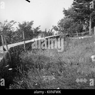 Cimetière en Bretagne, Slovénie, avec des croix funéraires en bois, illustrant les pratiques funéraires d'après-guerre et les traditions funéraires locales. Banque D'Images