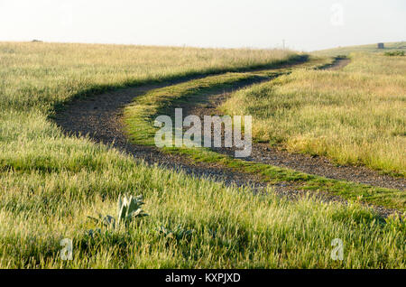 Farm Road, Cooma, New South Wales, Australie Banque D'Images