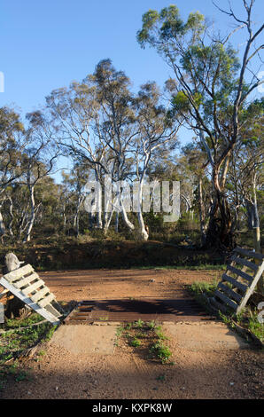 Grille de bétail sur la route de la ferme, Cooma, New South Wales, Australie Banque D'Images