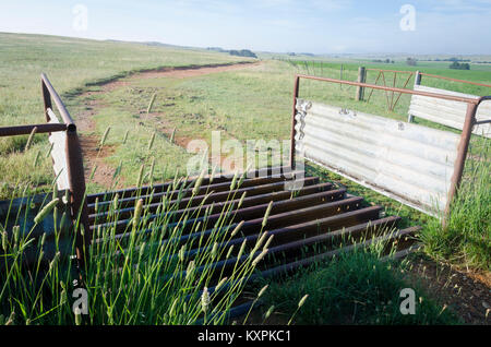 Grille de bétail sur la route de la ferme, Cooma, New South Wales, Australie Banque D'Images