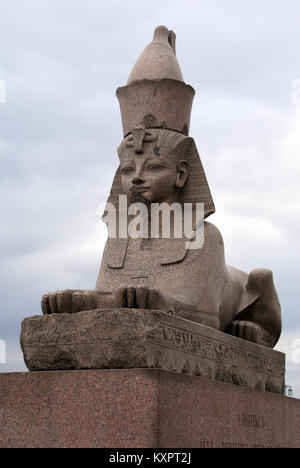 Sphinx à St-Pétersbourg, Russie Banque D'Images
