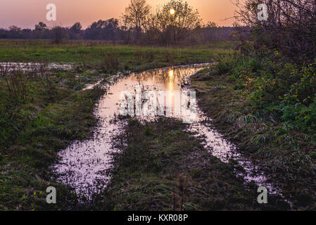 Coucher de soleil sur champ inondé road dans Witkowice village, Sochaczew Comté en Voïvodie de Mazovie de Pologne Banque D'Images