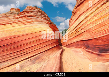 La vague - Incroyable rock formation en Arizona. Banque D'Images