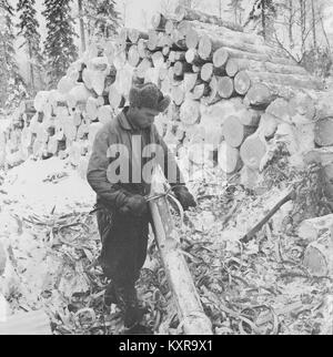 Homme travailleur forestier peeling l'écorce du tronc de l'arbre, de la Finlande, 1959 Banque D'Images