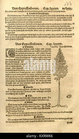 Une page du XVIe siècle de 'Crŭÿde boeck', avec des dessins botaniques détaillés et des notes écrites sur les propriétés des plantes utilisées dans les premières études médicinales. Banque D'Images