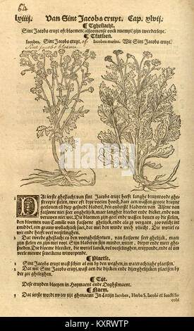 Cette image du livre 'Cru de Boeck' montre la page lxiiii, représentant le contenu historique botanique ou scientifique typique des premiers ouvrages de référence documentant des études végétales ou naturelles. Banque D'Images