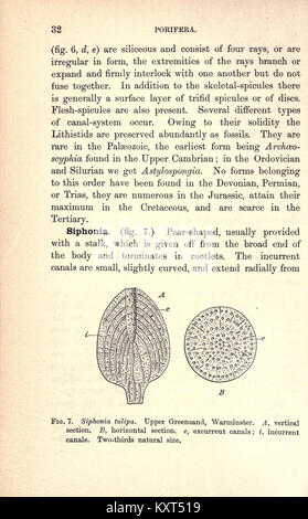 Pour les élèves du primaire palaeontology géologique (page 32) BHL23401084 Banque D'Images