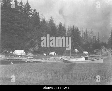 Camp d'ingénieurs près de Fort Seward, Alaska, 1909 (KIEHL 45) Banque D'Images