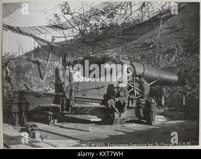 Photographie prise le 23 novembre 1917, montrant l'artillerie capturée près de Florian, pendant la première Guerre mondiale, documentant les opérations militaires sur le front italien. Banque D'Images