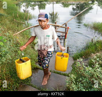 Les hommes vont chercher de l'eau de l'étang à Yangon, Myanmar Banque D'Images