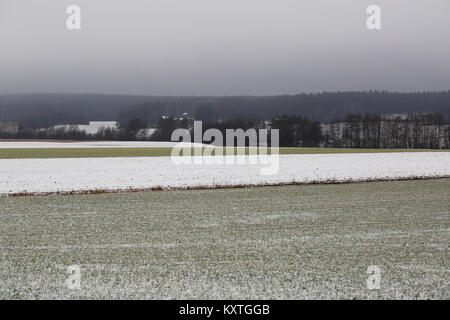 Paysage de champs agricoles en un jour brumeux de l'hiver. Banque D'Images