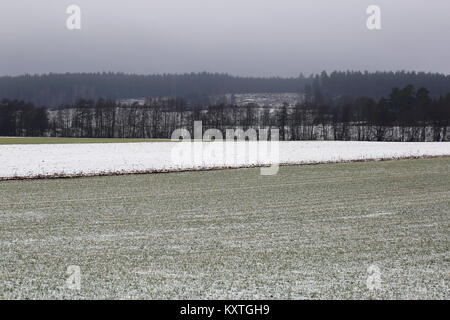 Paysage de champs agricoles en un jour brumeux de l'hiver. Banque D'Images