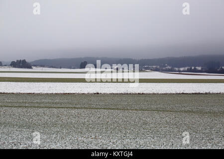 Paysage de champs agricoles en un jour brumeux de l'hiver. Banque D'Images