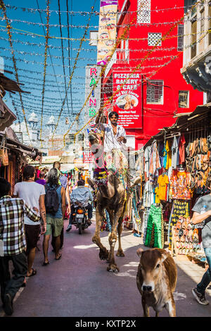 Pushkar, Rajasthan, India - Holi Festival 2016 © Sauriêl Ltd | Samantha | Scholl | www.saurielcreative.com fb.com/SaurielPhotography Banque D'Images