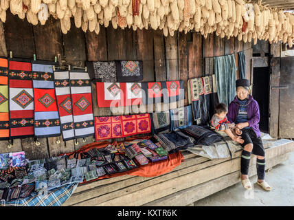 Tribu Hmong vieille femme et son petit-fils dans leur village, SAPA, Vietnam Banque D'Images