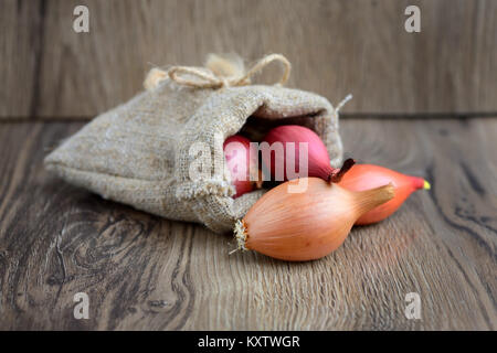 Les oignons (bulbes secs à la plantation dans un petit sac sur fond de bois Banque D'Images