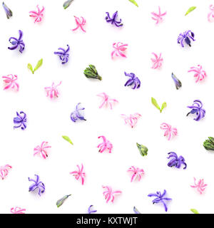 Modèle floral faites des jacinthes fleurs, bud sur fond blanc. Vue d'en haut. Plan des fleurs. Banque D'Images