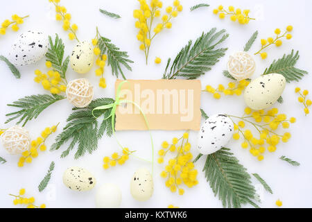 Fond floral de Pâques, oeufs et diverses fleurs mimosa, vue de dessus, l'espace pour texte d'accueil. Banque D'Images