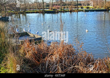 Northala Fields, Northolt, Londres, Royaume-Uni Banque D'Images