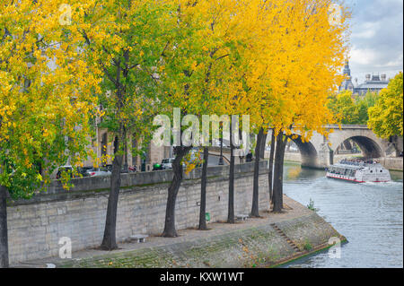 Paris Automne, arbres aux feuilles d'automne un talus le long de la ligne de Quai d'Orléans sur l'Ile St-Louis dans le centre de Paris, France. Banque D'Images